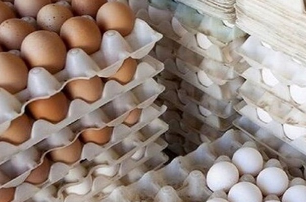 قیمت تخممرغ در میادین میوه و ترهبار شهرداری تهران قیمت تخممرغ در میادین میوه و ترهبار شهرداری تهران