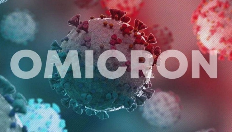 بازگشت به پروتکلها بازگشت به پروتکلها