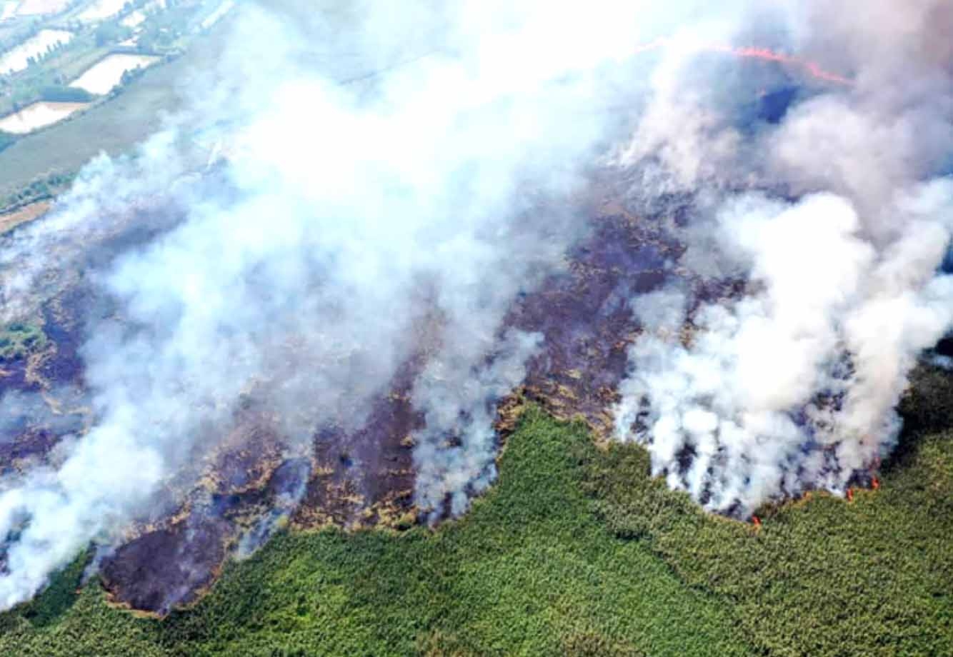پشت پرده آتش سوزی عمدی تالابها پشت پرده آتش سوزی عمدی تالابها