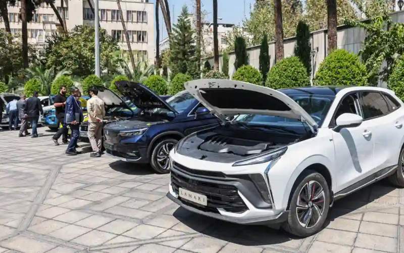 شوی تبلیغاتی در حیاط دولت شوی تبلیغاتی در حیاط دولت