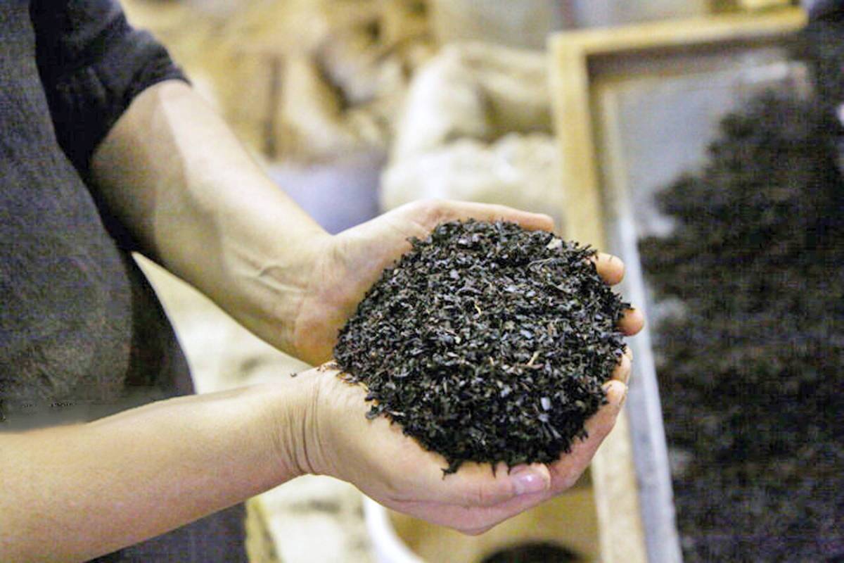 پسِ پشت وامهایی که چای دبش از بانکها گرفت پسِ پشت وامهایی که چای دبش از بانکها گرفت