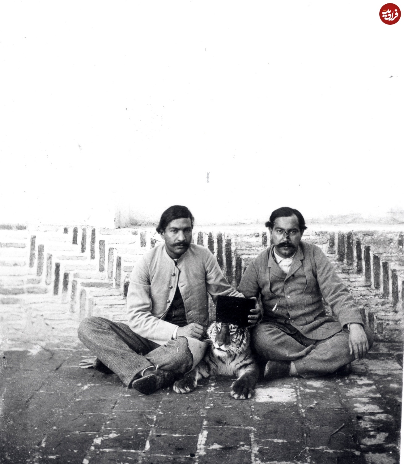 عکسهای دیدهنشده از ببر مازندران در دوران قاجار