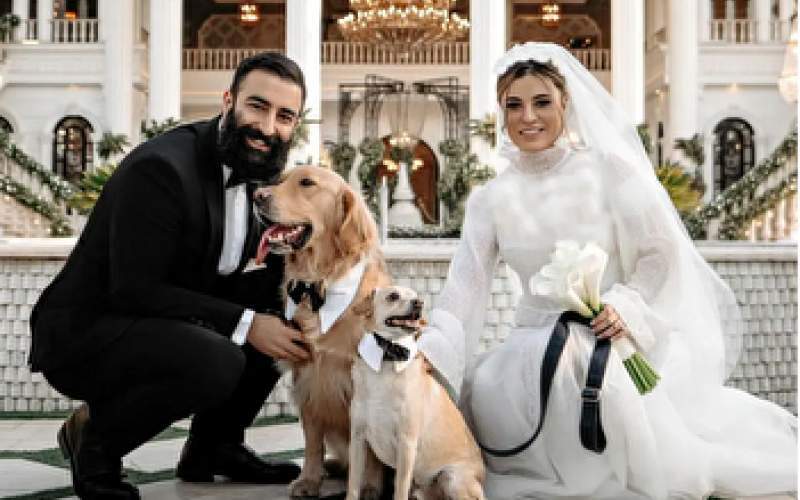 کلیپ مراسم ازدواج شیدا خلیق و کیوان ساکت کلیپ مراسم ازدواج شیدا خلیق و کیوان ساکت