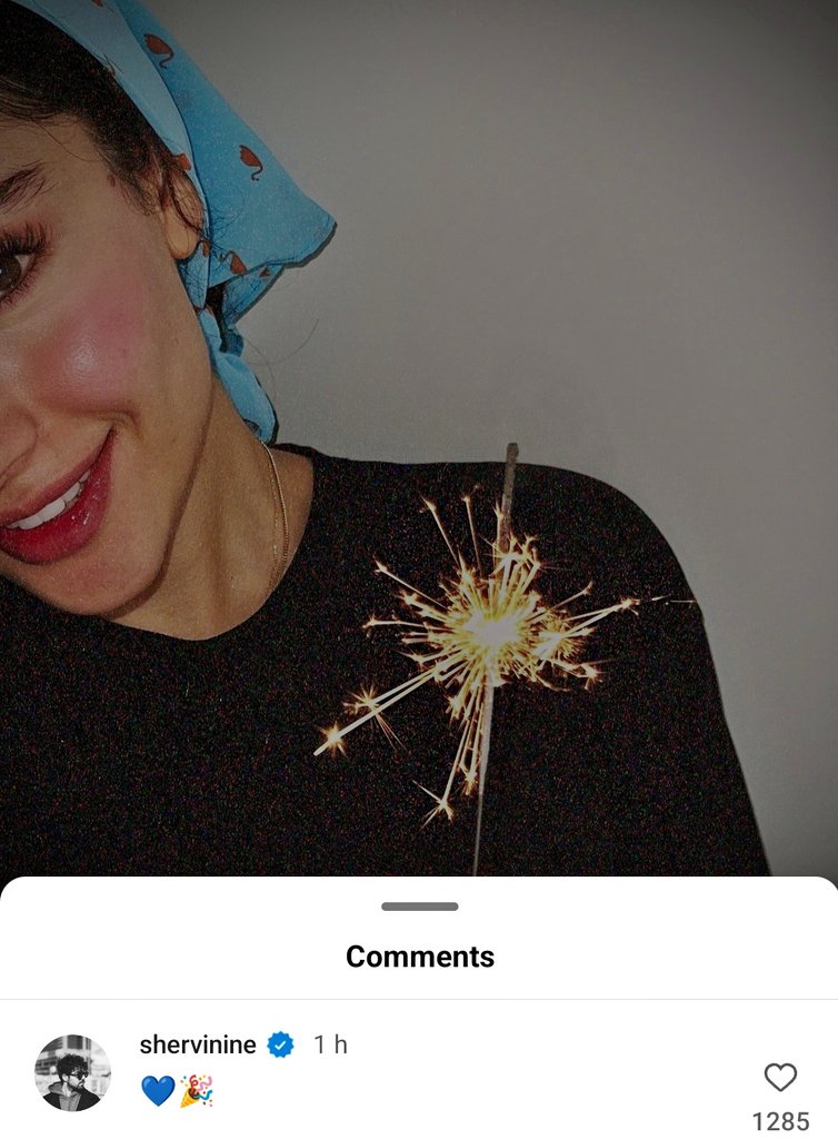 کامنت عاشقانه شروین حاجیپور زیر پست ترلان پروانه