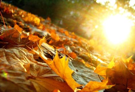 پاییزی گرمتر و خشکتر در انتظار ایران!