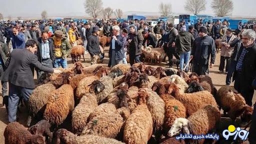 نرخ دام زنده در آستانه اربعین اعلام شد + جدول نرخ دام زنده در آستانه اربعین اعلام شد + جدول