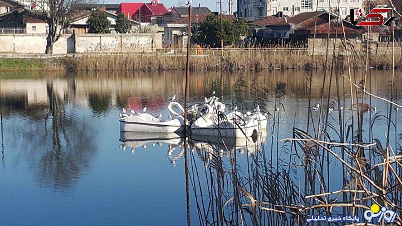 تالاب عینک رشت خشک شد تالاب عینک رشت خشک شد