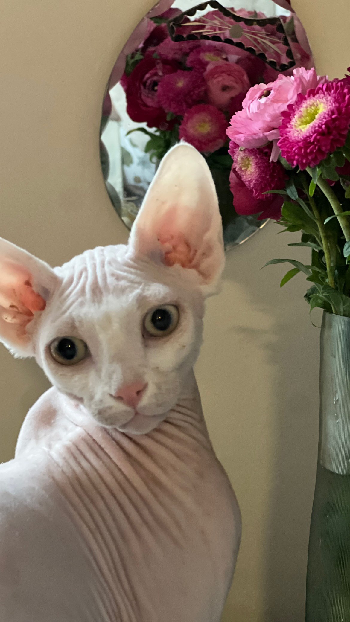 photo_2025-04-10_09-46-34