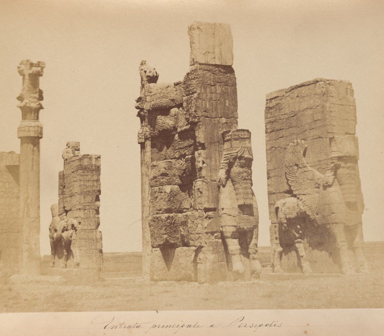 تصاویر تاریخی تخت جمشید از سال 1860 منتشر شد!