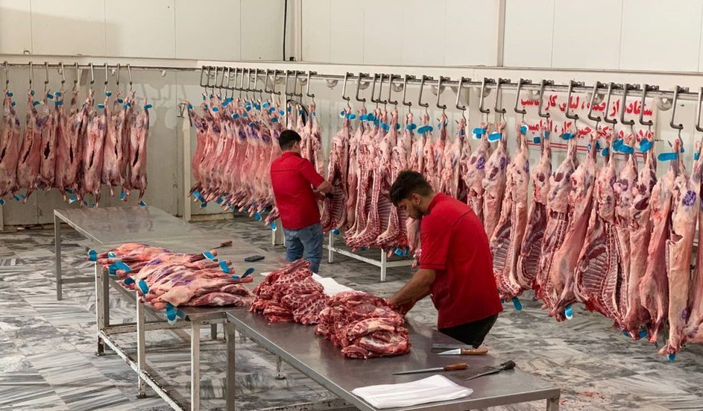 قیمت گوشت امروز ۶ دی ۱۴۰۴ قیمت گوشت امروز ۶ دی ۱۴۰۴