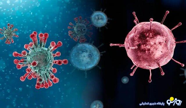 کرونا دیگر بومی خودمان شده است و ترس ندارد! کرونا دیگر بومی خودمان شده است و ترس ندارد!