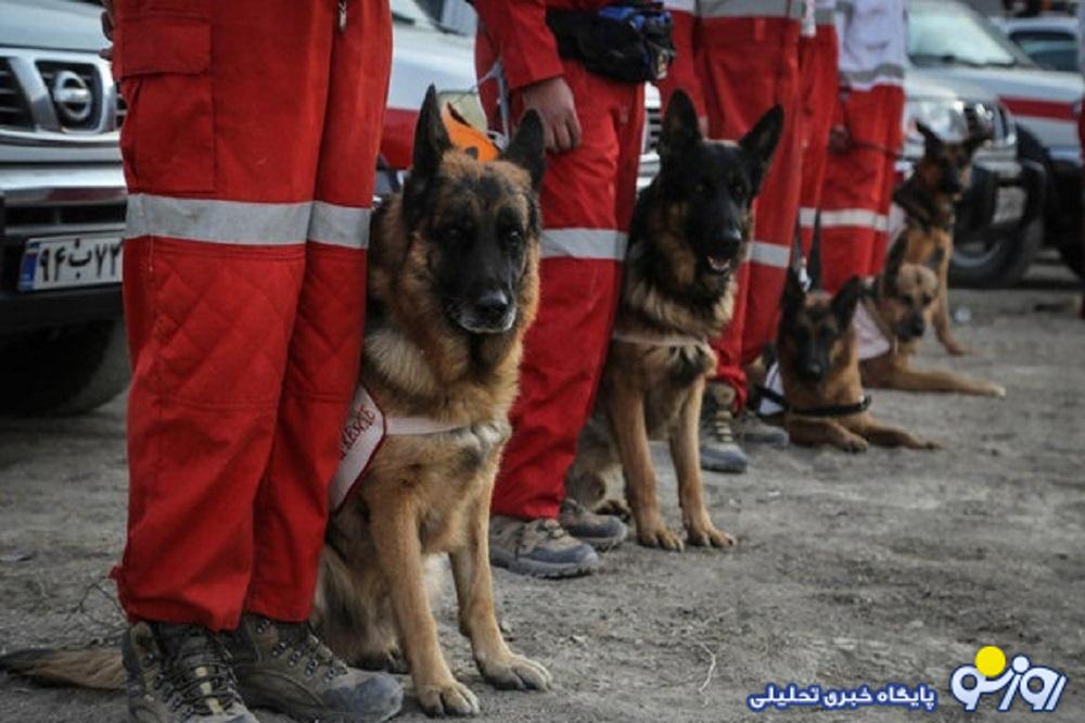 توانمندی به نام سگهای زنده یاب توانمندی به نام سگهای زنده یاب