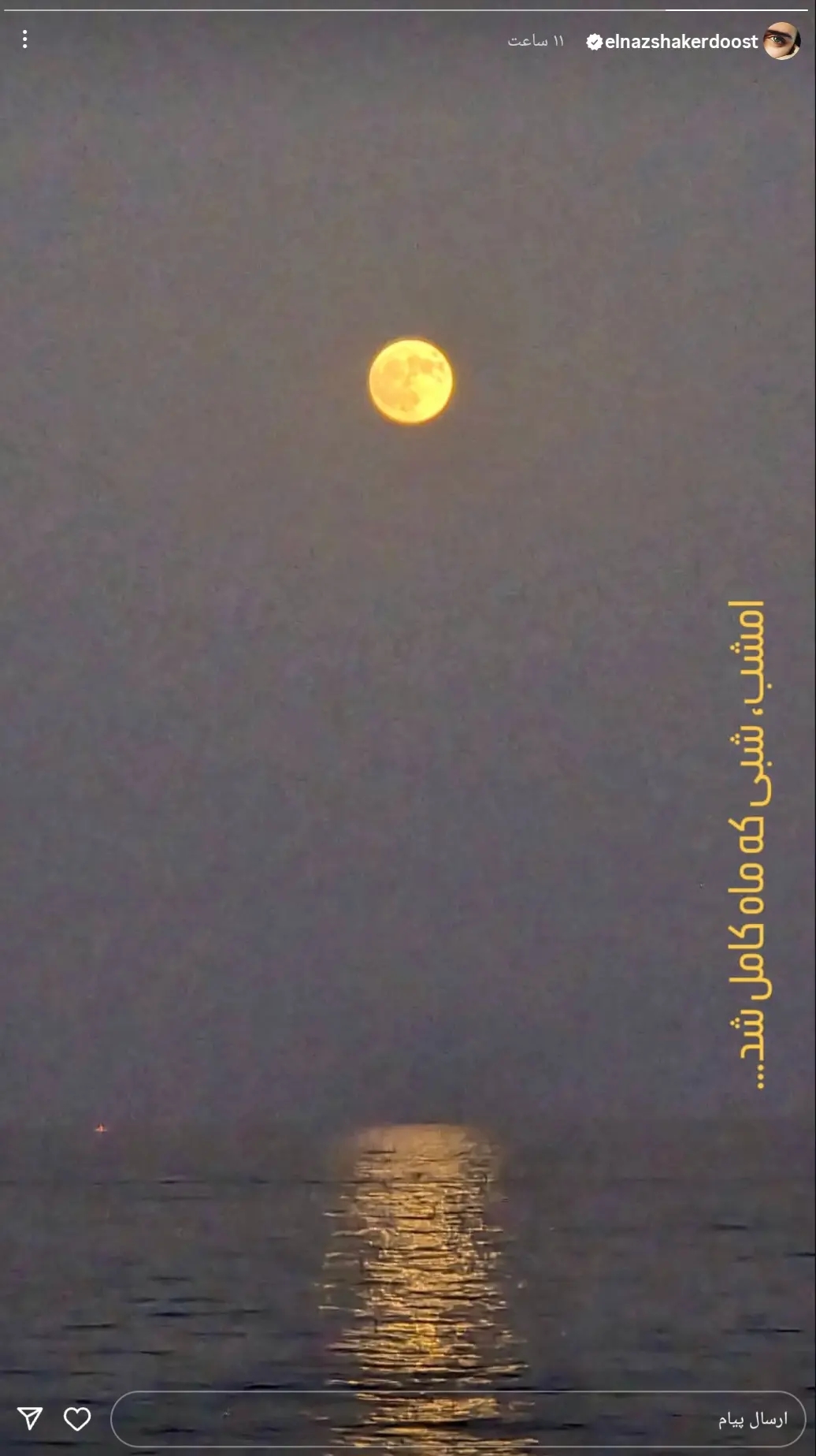 استوری احساسی و معنادار الناز شاکردوست + عکس استوری احساسی و معنادار الناز شاکردوست + عکس