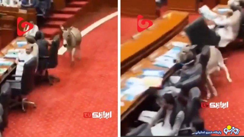 ورود الاغ به مجلس! ورود الاغ به مجلس!