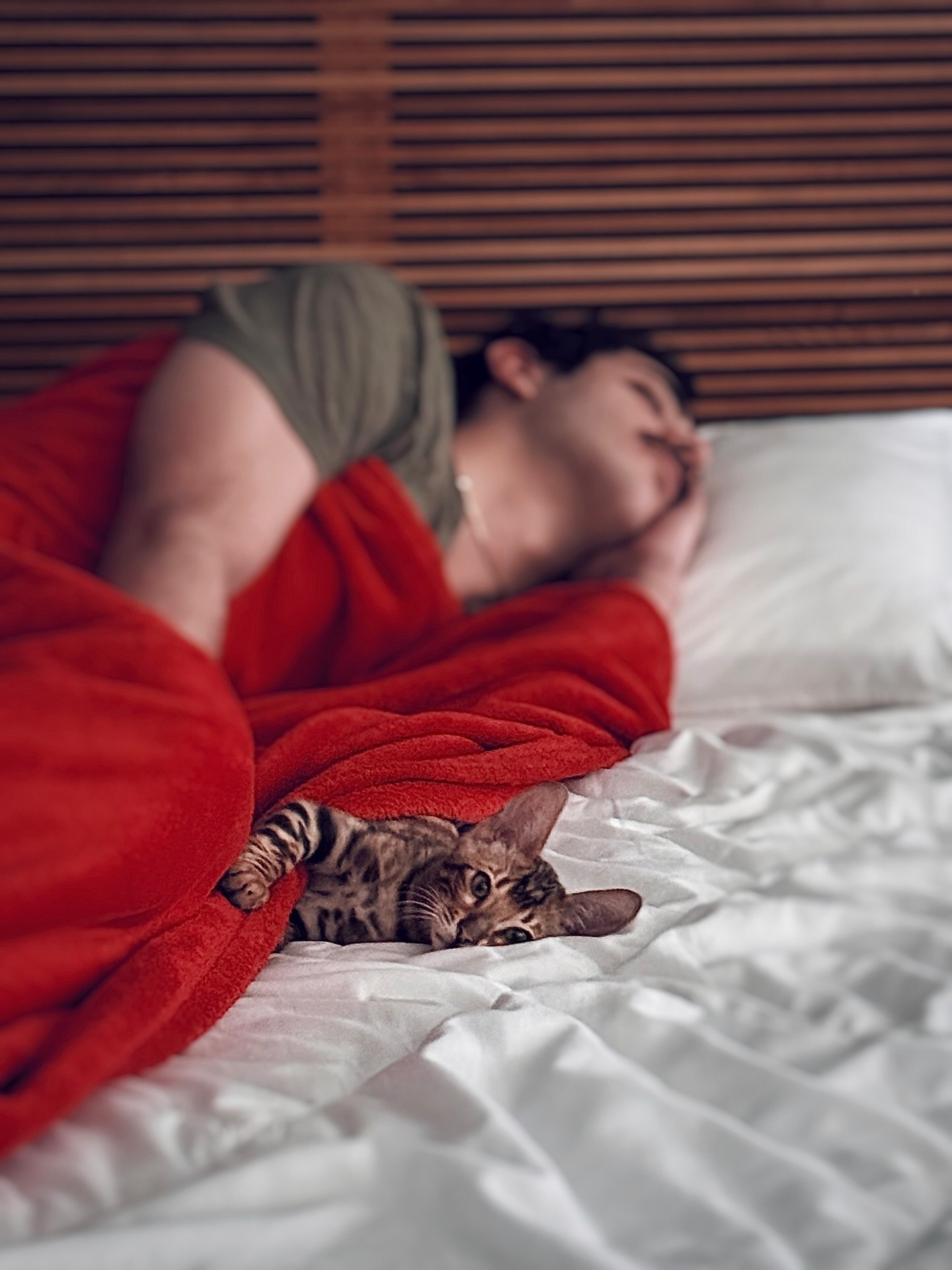 عکس متفاوت علی شادمان با حیوان خانگی بامزه‌اش